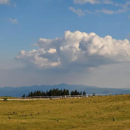 דירה Evergreen Rhodope Retreat